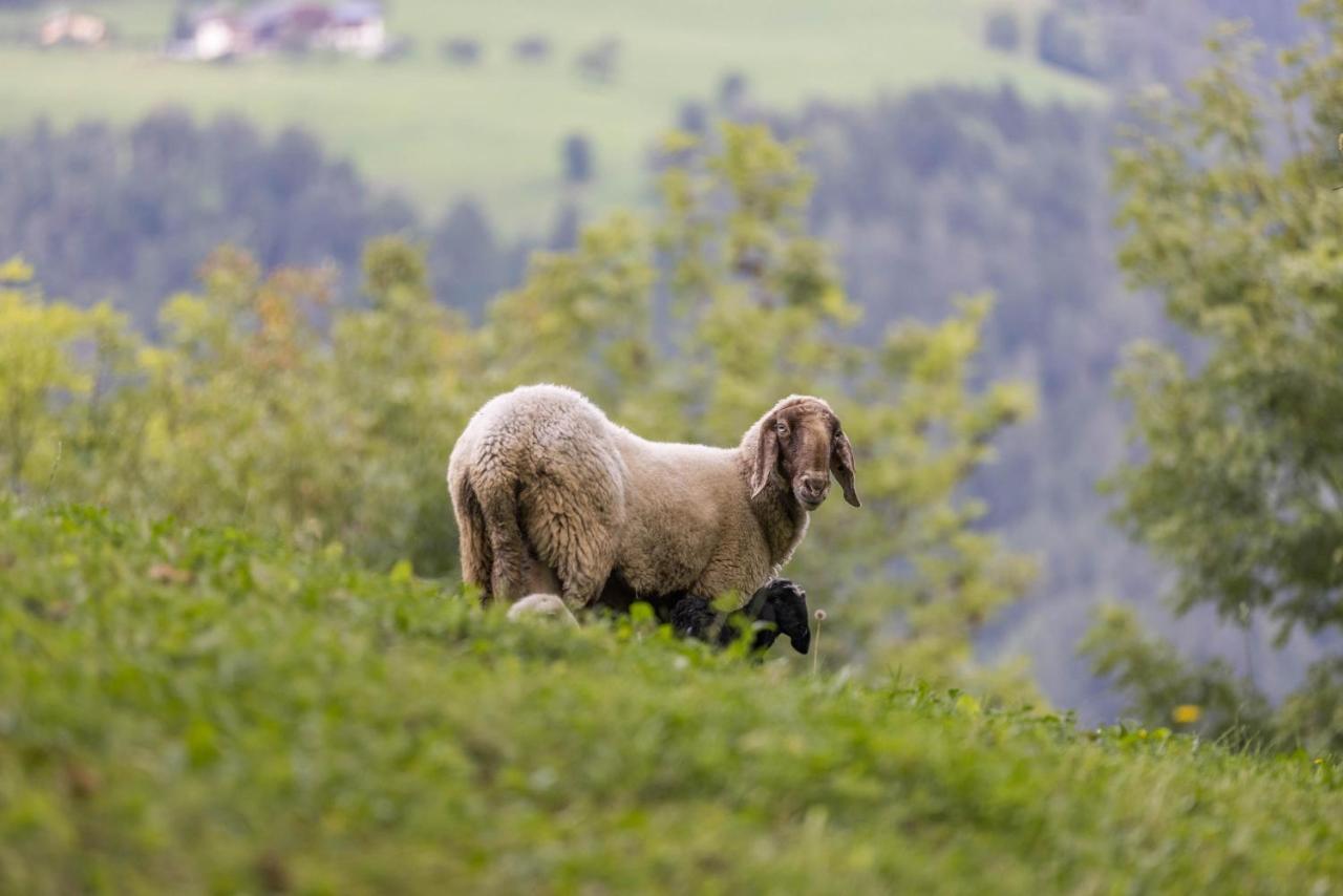 Oberplunerhof - Fewo Kronplatz تشينيز المظهر الخارجي الصورة